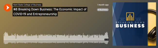 Breaking Down Business Podcast photo with audio lines. Title: The Economic Impact of COVID-19 and Entrepreneurship.