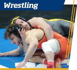 Wrestling