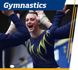 Gymnastics