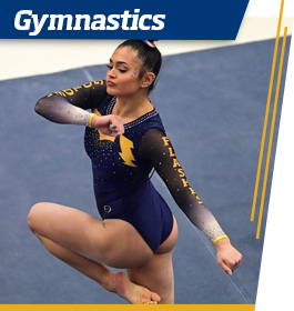 Gymnastics
