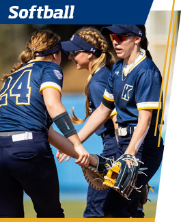 Softball 