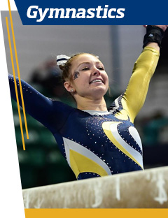 Gymnastics 
