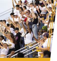 Cheering Crowd