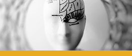 Image for Alumna Puts Patients First in Brain Fog Research