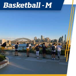 Basketball students looking at city scape