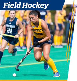 Field Hockey players