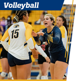Volelyball players on the court