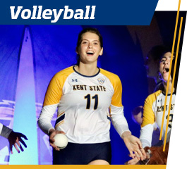 VOLLEYBALL