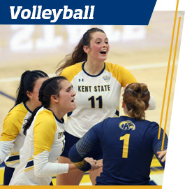 VolleyBall