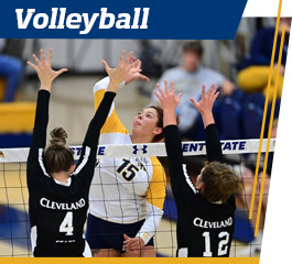 VOLLEYBALL