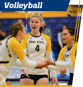 VOLLEYBALL