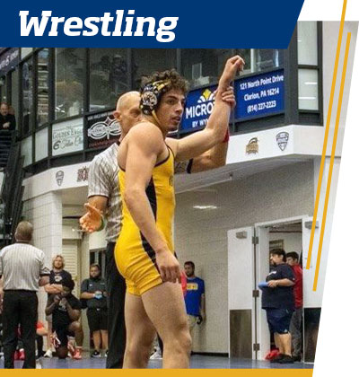 Wrestling