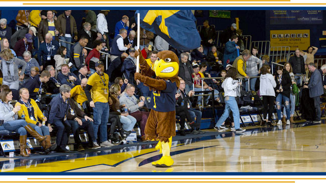 Image of Flash on the basketball court