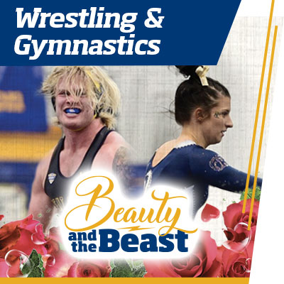 Wrestling and Gymnastics