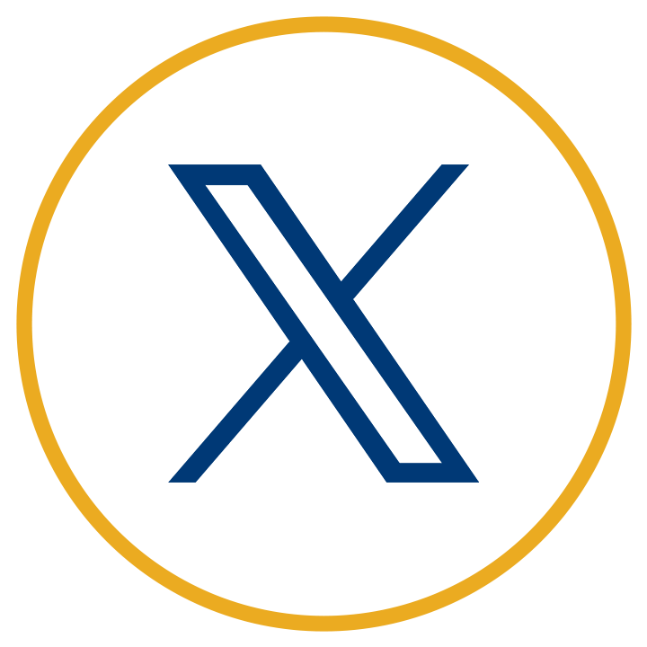 X (Twitter)